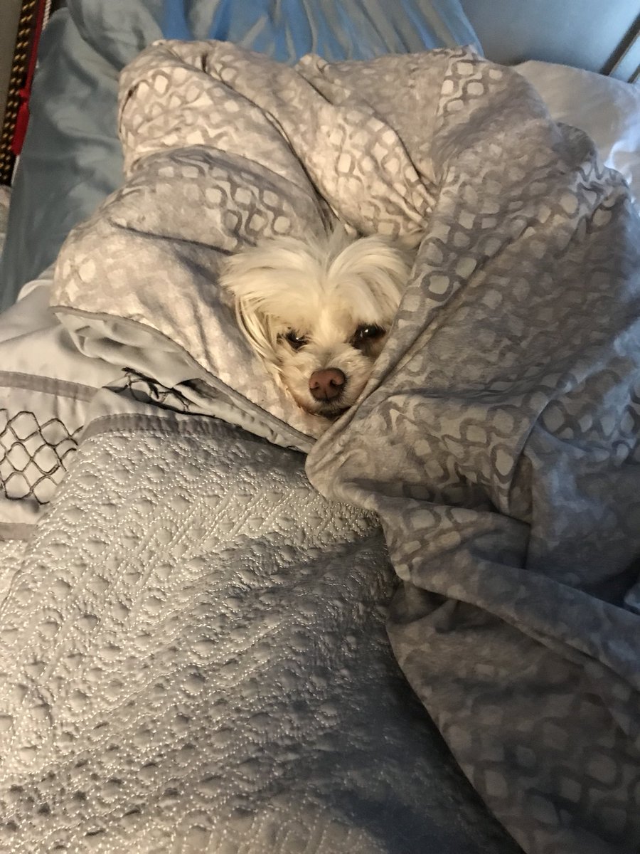 Monday feelz