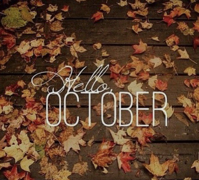 October is here...and so are the leaves 🍂🍁 give us a call to help take care of your fall yard! 🎃