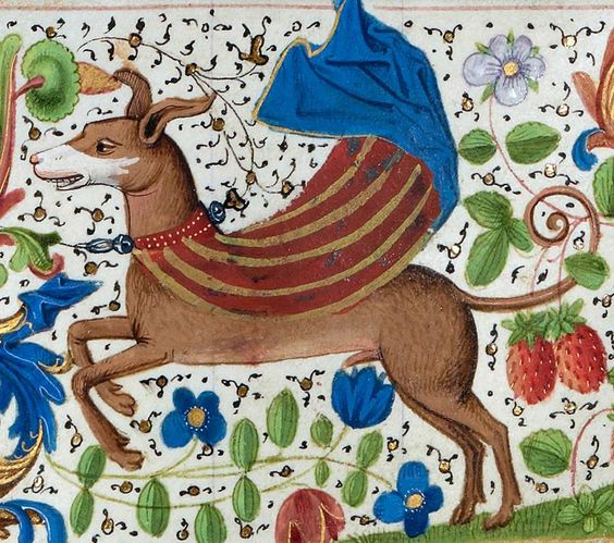 PiersatPenn's tweet photo. Medieval dogs...in capes.

#medievaltwitter #dogsoftwitter https://t.co/gSdJIGvxKI