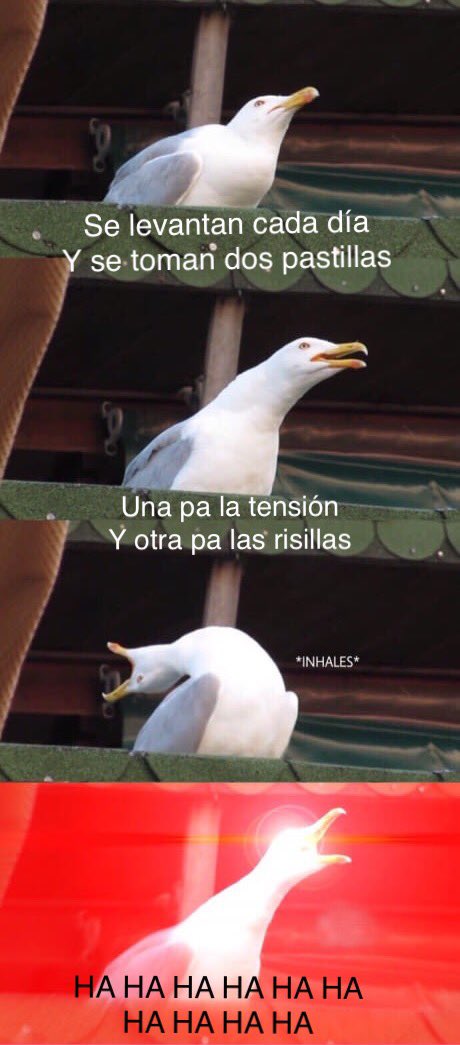 LasBistecsFans's tweet photo. Hasta las gaviotas cantan al sol del Electrodisgusting https://t.co/aKFm8stUKT