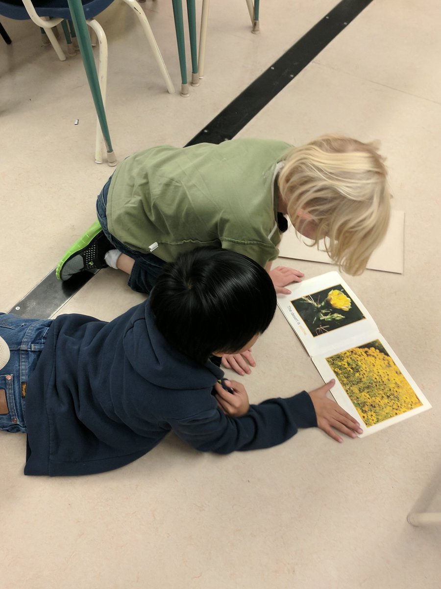 LearningWonder1's tweet photo. Awesome buddies...#CJFS https://t.co/XwdhgcZ6gq