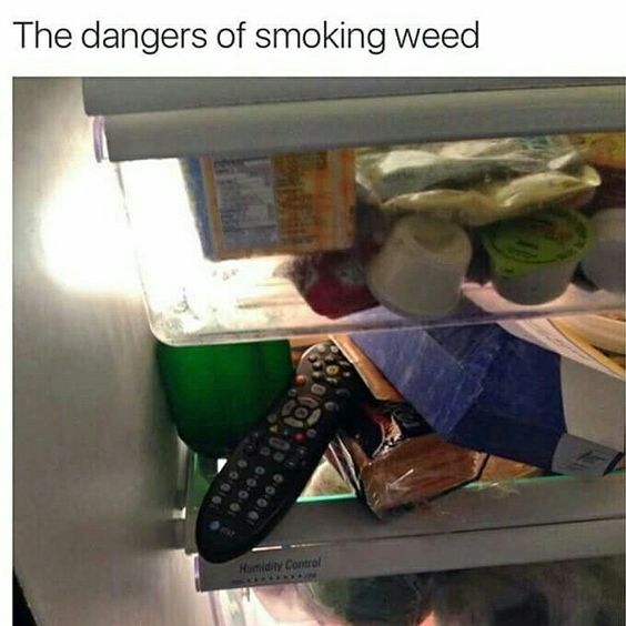 RedEyesOnline's tweet photo. The dangers of smoking weed
#WeedDangers #StonersProblems https://t.co/XkA2BxMCoX