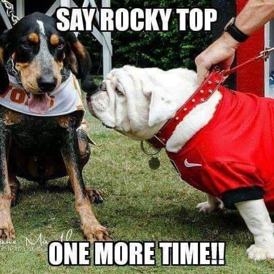 EastCobbDawg's tweet photo. @judyknowsfootb1 @BravesNinja Never forget. 41- 🍩 #RIPTennessee https://t.co/RCCeBAMKZq