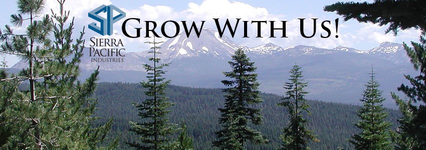 Looking for a #job in #Forestry? Our Anderson Office is #hiring! Check out the details here: spi-ind.com/Careers/Detail… #GrowWithUs 🌲🌲🌲