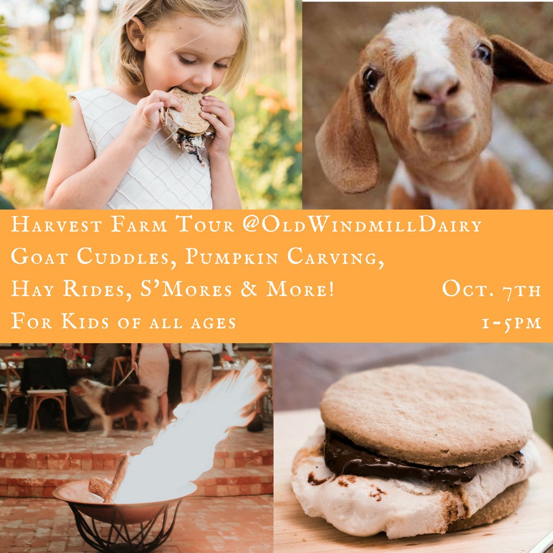 Saturday @OldWindmillDairy: Harvest Farm Tour with goat cuddles, hay rides, S'Mores, &amp; more! #howtosantafe #smores #halloween