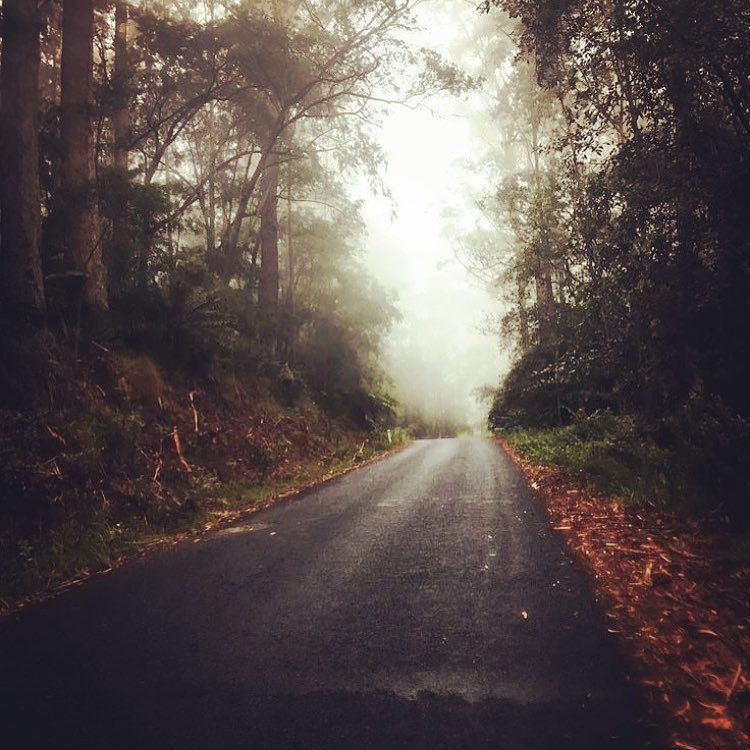 BikesBows's tweet photo. When it's pouring rain and you're running along through the wet, there's satisfaction in knowing that you're out there and the others aren'… https://t.co/7qN5xLEeSz