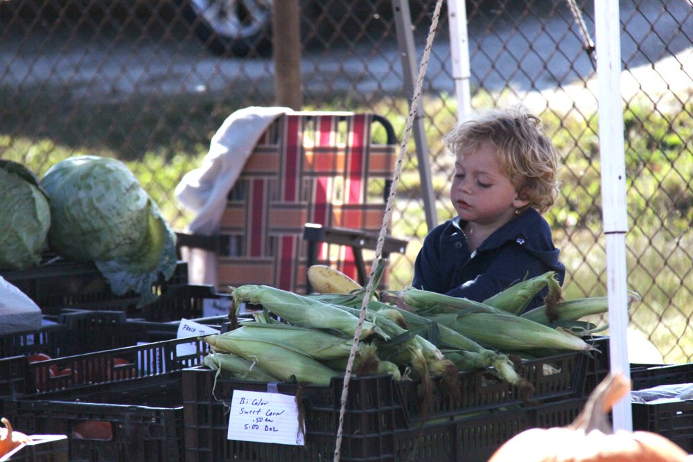 OverbiteFilms's tweet image. overbitefilms.com/2017/10/02/577/