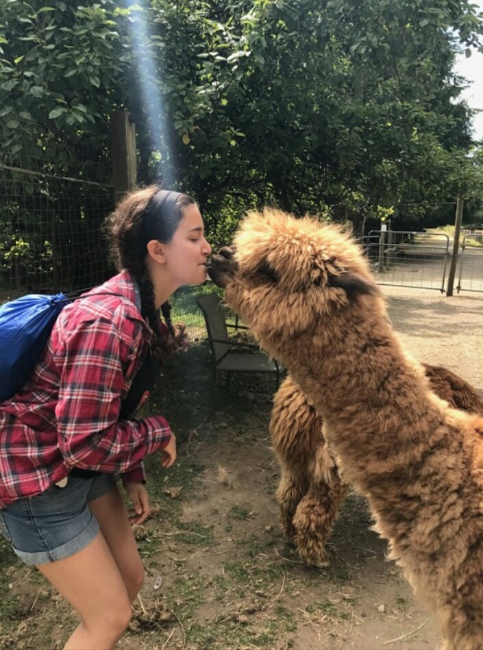 MoValley_RCVP's tweet photo. The alpaca that I met makes my day! It would make my day even more if you registered for SlIID fall! #MV4THEWIN17 https://t.co/4JuhskAaOB