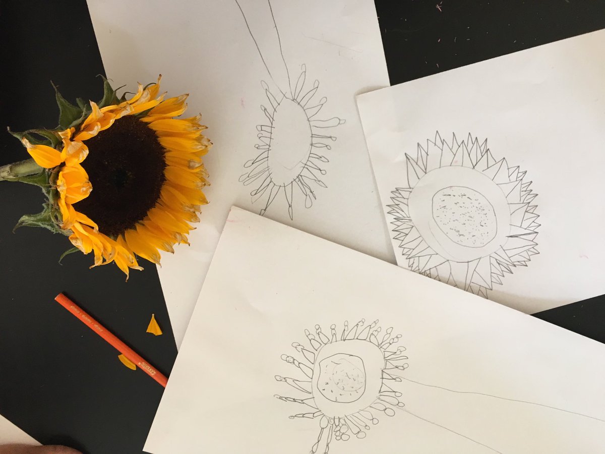 Brienna Gerard Heltzel tweet media