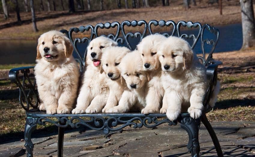 KarenCherwinsky's tweet image. Have a great Monday all :))