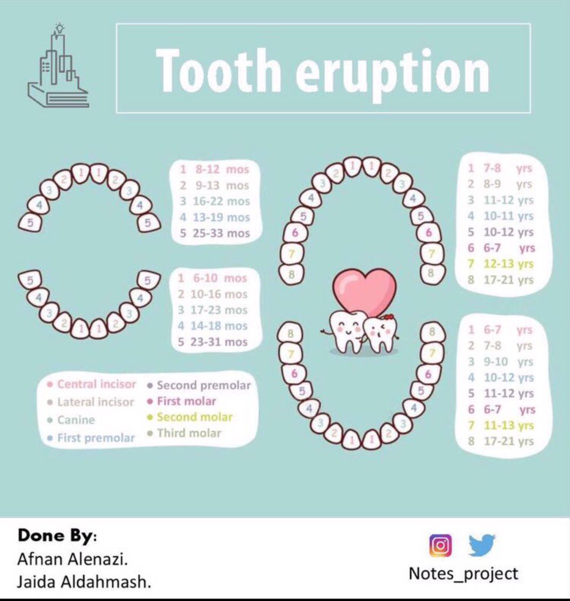 fatoom1991's tweet image. #tootheruption