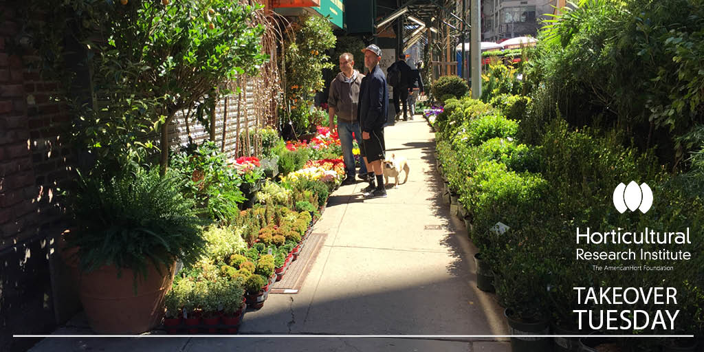 HortResearch's tweet photo. Goal #2: Recognize consumer horticulture as the driver of the agriculture economy. #TakeOverTuesday #GrowHort https://t.co/xSPYC78HWW
