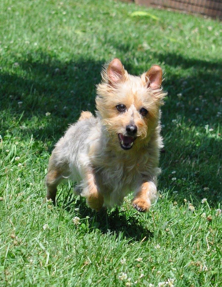 Charlie3Dog's tweet photo. My body stay vicious.
I be up in the gym just working on my fitness. #CharlieDog https://t.co/s7AVxIJOH1