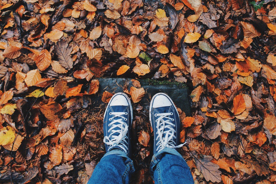 SOPA_AB's tweet photo. #sopablog 5 of the best things to experience in Alberta in autumn. Fall events and activities in Alberta https://t.co/U0zj4Ikzlr #fall #fun https://t.co/cvBKy3vJmC