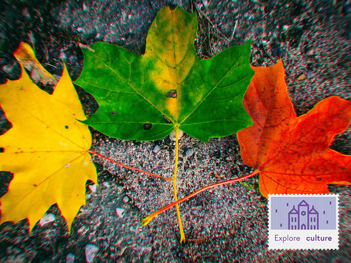 Visit_Lita's tweet photo. Visit Vilna in autumn – the most colorful time of the year! #VisitLita https://t.co/52IdnRuzXx