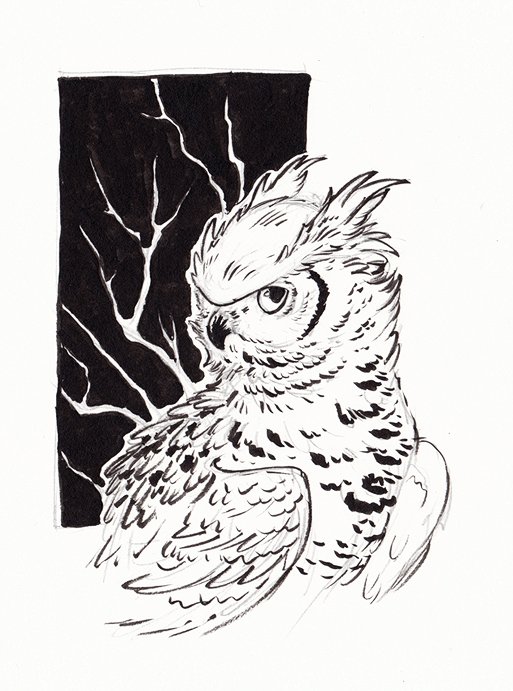 Quick owl sketch for day 2 of #Inktober #inktober2017 Got 10 days off work now, looking forward to cracking on with commissions & inking!