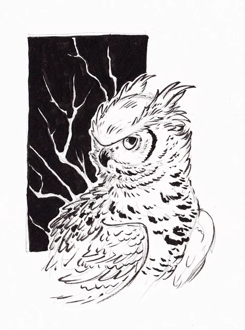 Quick owl sketch for day 2 of #Inktober #inktober2017 Got 10 days off work now, looking forward to cracking on with commissions &amp; inking! 