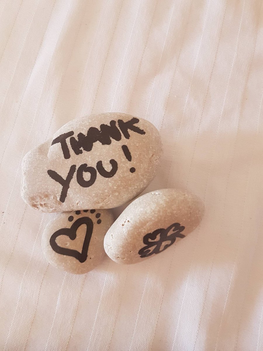 ApartmaniMarko's tweet photo. From our sweet #guests. https://t.co/ImAbJEU4i3