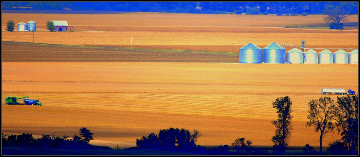 klimb2hi's tweet photo. One Lord, One Harvest.  All His.  #Harvesttime https://t.co/l8l6auUMDu