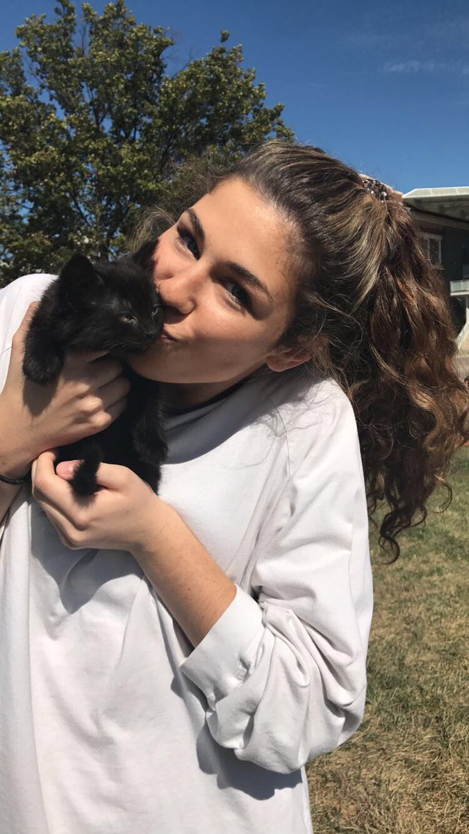 izzypope's tweet photo. What better way to start the month of October than to give some lovin' to a black kitty? π» #bearkitty #spooky #blackcatsareGOODluck https://t.co/JXZLduLDoi