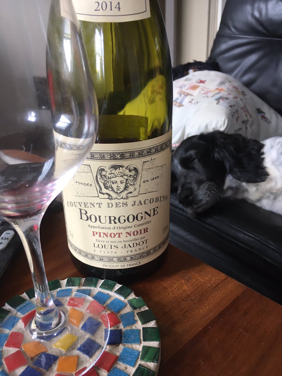 heatherb133's tweet image. Chloe showing off her #Monday vibes today 😂#sofadog