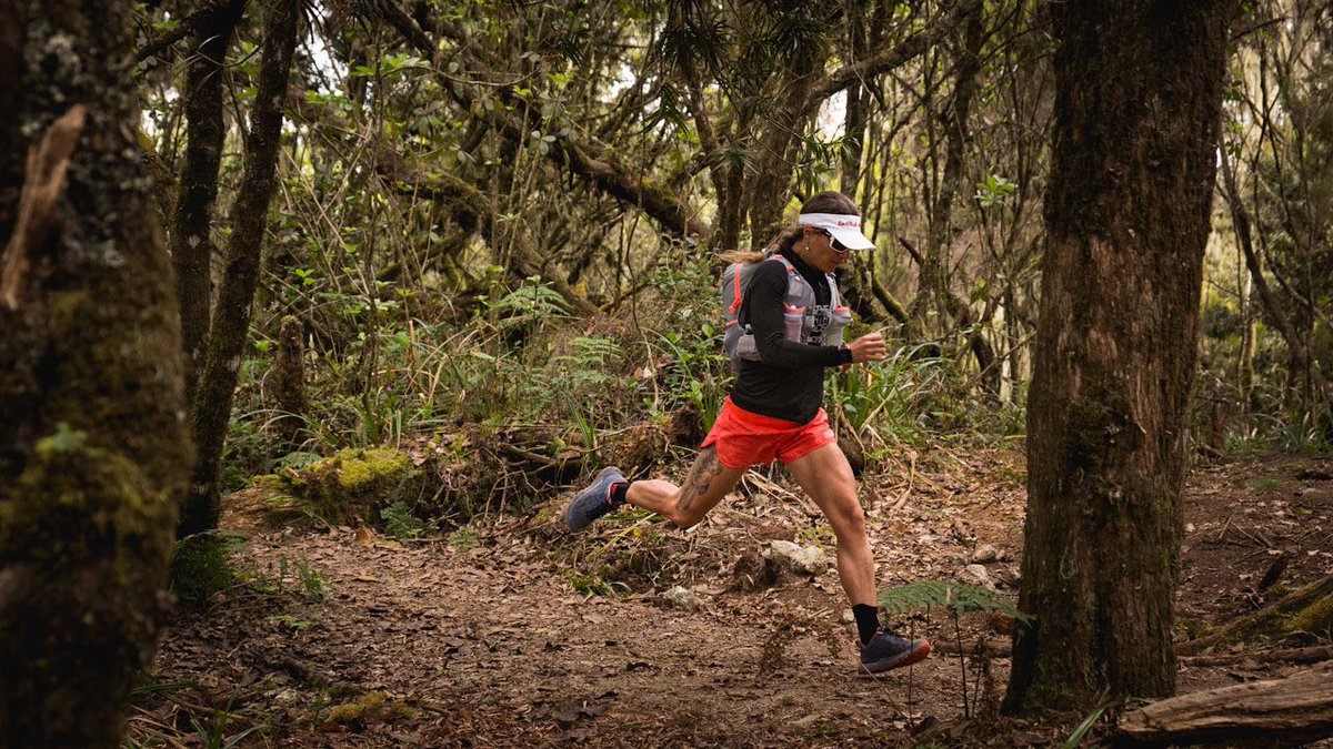FerUltraTrail's tweet photo. Forest, rocks, glacier and volcanic terrain; a remarkable mix in #Kilimanjaro. Cheers Mother Nature. #whiteflow #running #tanzania #africa https://t.co/3mluVatcAp