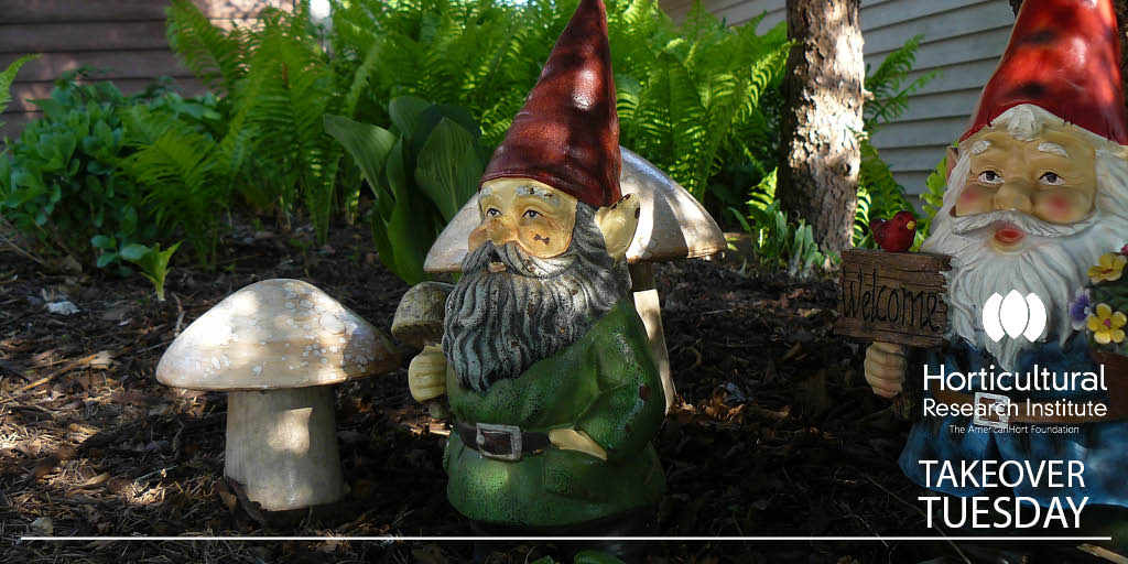 HortResearch's tweet photo. Join the fun: National Initiative for Consumer Horticulture (NICH) https://t.co/v6b3tfCbxA @HortResearch #GrowHort https://t.co/eWYP0Cu2Ou