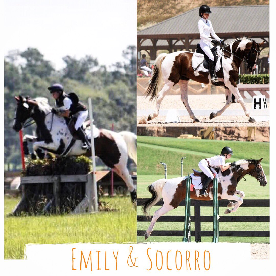 Our rider spotlight of the week is Emily Beckwith! She competes at training level with her Oldenburg mare, Socorro!