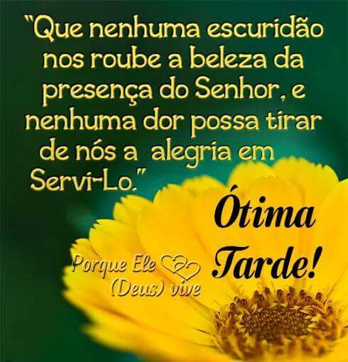 FreudinaSouza's tweet photo. @josybreda @IngeAmaral @amfroes @JoseEldoSilva1 @kamiules @josiele_leicam @joyschya @porche013 @MazziaBenelli @IsaAbadeer @rosigorete @J_LoganJr @Alexandretrist8 @CiganaRosa1 @maluko_bleza @ElianaMirandaD3 @KarinUsara @RoseVPLB @Carolovely30 @Mellyssa57 @de_morenoVR @RenatoGarcia107 @Leandro90372059 @SakaSakamori @eng_camilo @EldoMaestro @Braziletico10 @seudevan @Rossano_v_ @ceciinhasanttos @aninhaqmendonca @prodanidutra @MolekoGil @VikingsColorado @inge_amaral @leoprr01 @PrinceJAS0N @PatriickDiiaas @Portuga_101 @RafaelPaulo360 @Transmorfonerd @Tonyfys @dufurtados @TiagoScheimann @h_bezerra @hellenguerra17 @elzasds Super Tarde Joselene!...Amém!🌹💎Desejo a você e a todos os nossos amig@s o melhor de DEUS!💫💎🌹 https://t.co/rduJoQREKw