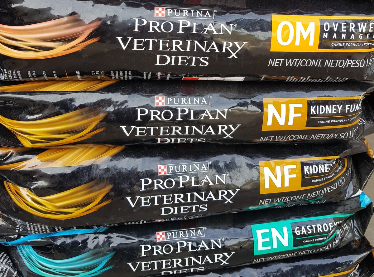 Proplan Veterinary Diets

Para cotizar este y otros productos al whatsapp +56994440077
