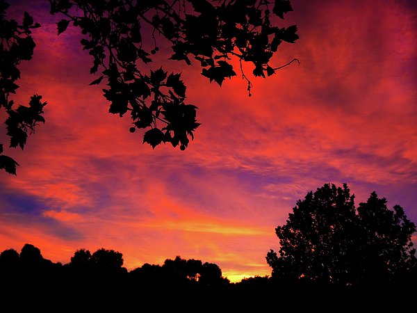 Mbalraku's tweet photo. New artwork for sale! - "Ancient Dawn" - https://t.co/zmD3vwoI4A @fineartamerica https://t.co/0hdQoubrcu