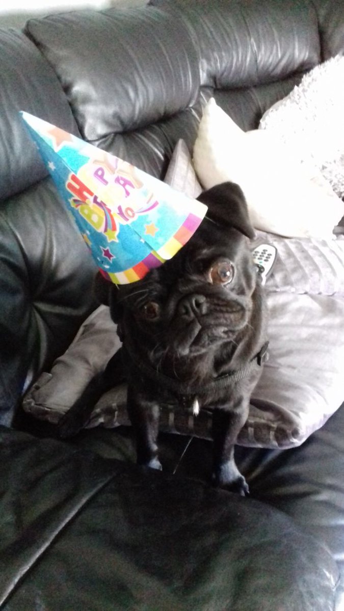 HugoTheBoss16's tweet photo. It was my birthday on Friday! 🎉 https://t.co/bpNKja7gt2