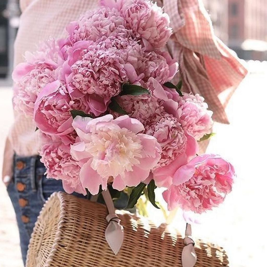 BrideMinded's tweet photo. #willowandlace Have a “blooming lovely Tuesday” 🌸#flowers #weddingflowers #weddingday #weddingaccessories #hatsfor… https://t.co/kzx5lrOtYh https://t.co/TgbS2HTfpK