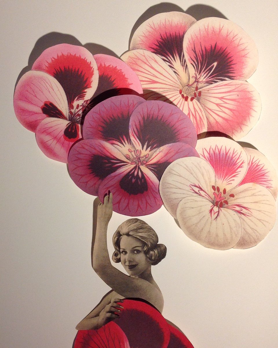 DMesander's tweet image. #collage #handmade #vintage #flowergirl facebook.com/domesander ✂️🌺👁