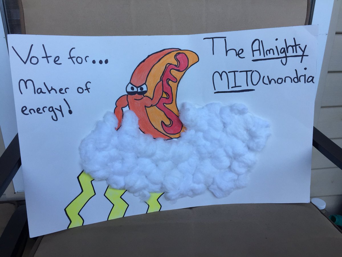 MitoAlmighty's tweet photo. The Mitochondria makes energy therefore I make money for the cell. @wcsFvHsdd #organellewars https://t.co/lmYuSjKZ9R