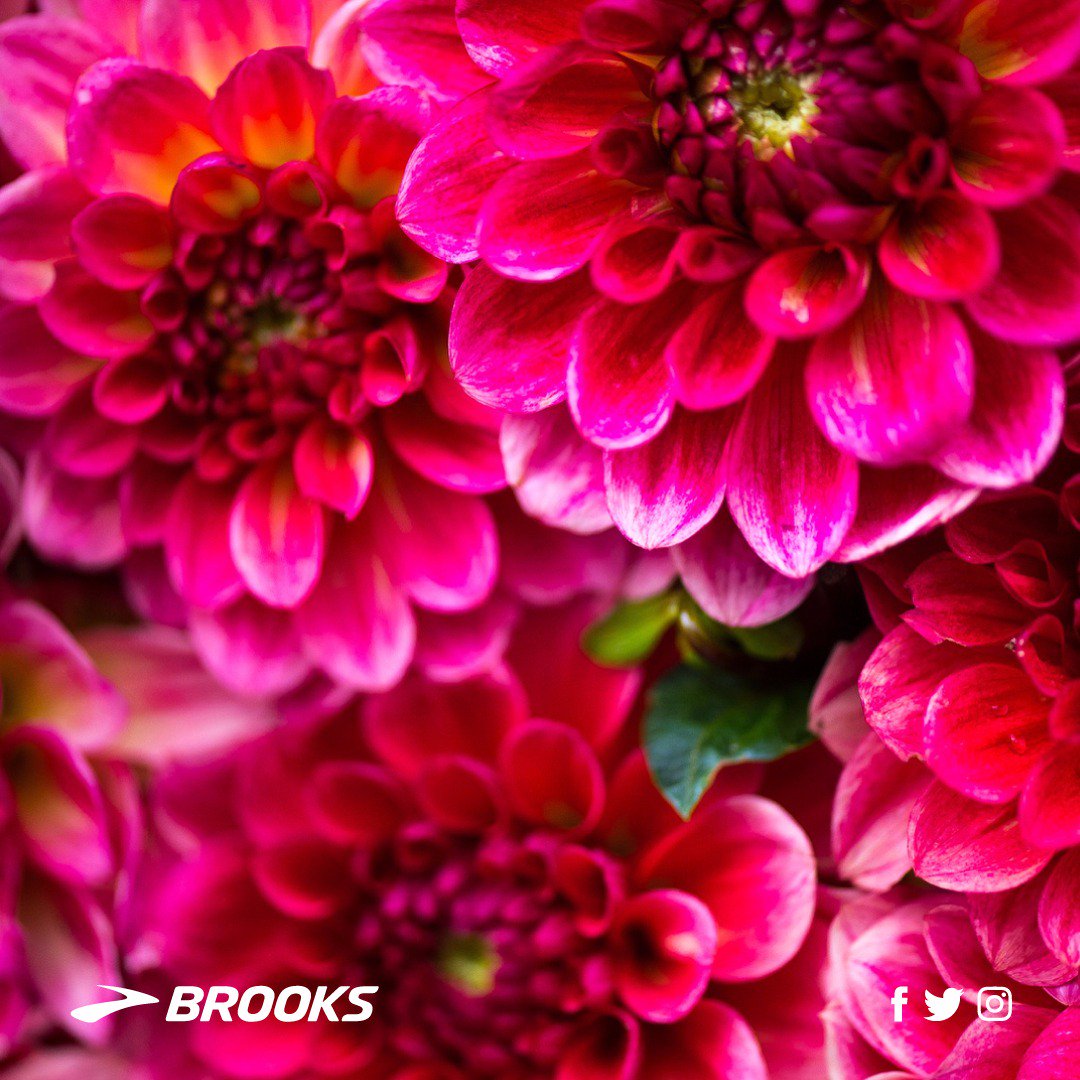 Lunes de colores ✨ #RunHappy