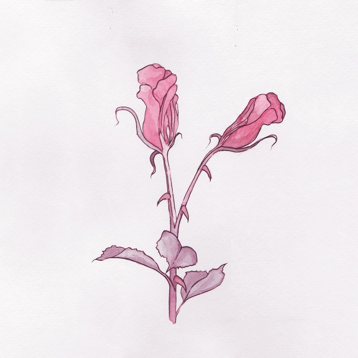 iam_artelie's tweet image. Mein zweiter #inktober2017. #devided.