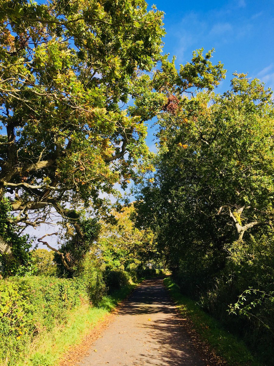 NatashaBarret18's tweet image. Magical time inc meeting a #barnowl #Hampshire #Lyminton. Brill that @RobGMacfarlane @JackieMorrisArt are ensuring kids learn about #nature