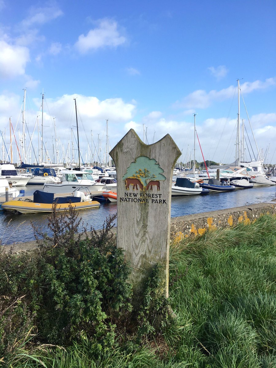 NatashaBarret18's tweet image. Magical time inc meeting a #barnowl #Hampshire #Lyminton. Brill that @RobGMacfarlane @JackieMorrisArt are ensuring kids learn about #nature