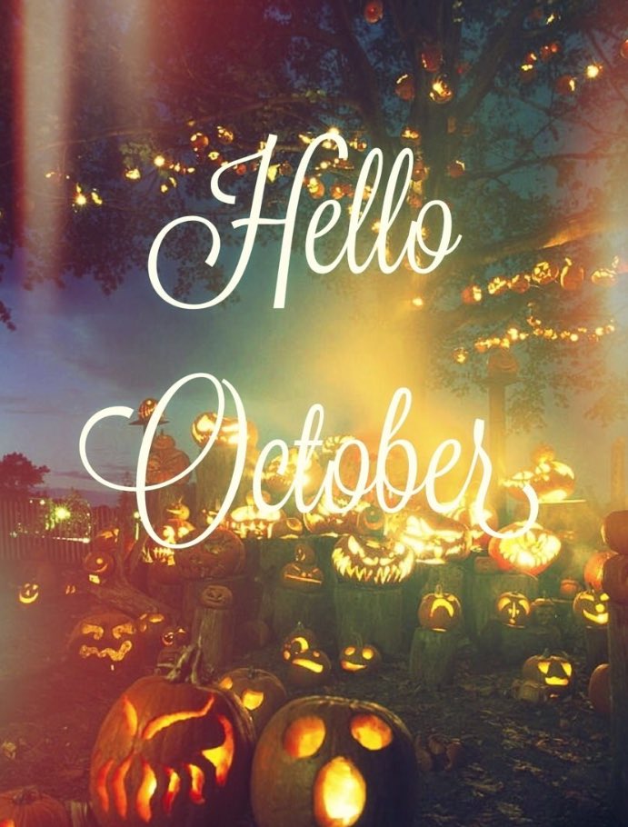 FestiveFayre's tweet image. Our Festive Fayre in next month! We can’t wait! @NUFCEvents @CashforKidsNE @nufcfoodbank