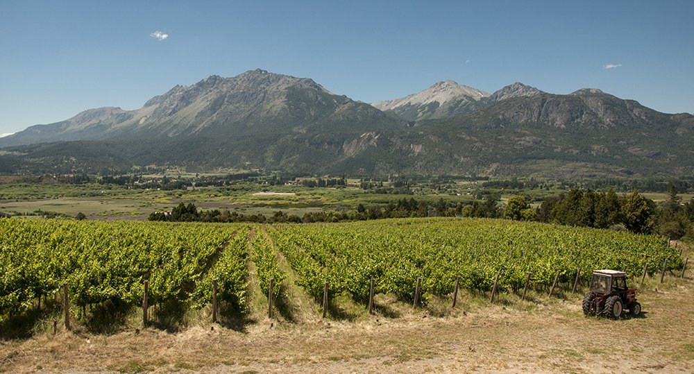 Diario EL CHUBUT tweet media