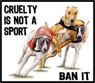 JULIEELLIS5's tweet photo. @_Pehicc @JNCons @LinkedIn 
👎👎👎👎 A night of Corruption &amp; Cruelty - No thanks! #YouBetTheyDie https://t.co/0ugvE8t237