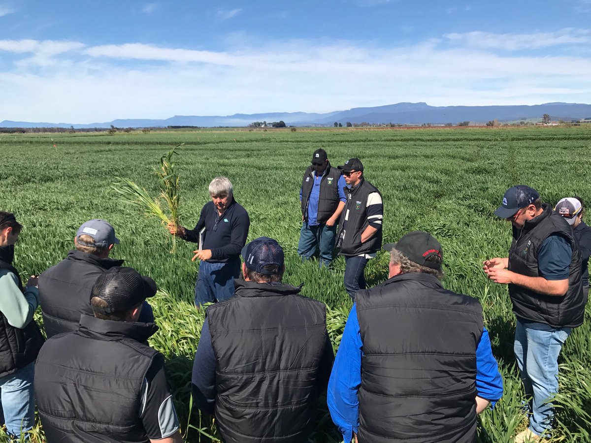 Paul Ackland tweet media