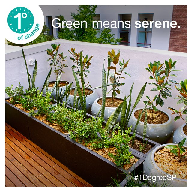 DrWesely's tweet photo. Even a little green space can make a big difference. Have you spent time outdoors today? #1DegreeSP https://t.co/9NVJ6l6eUw https://t.co/3VCAF4YDlL