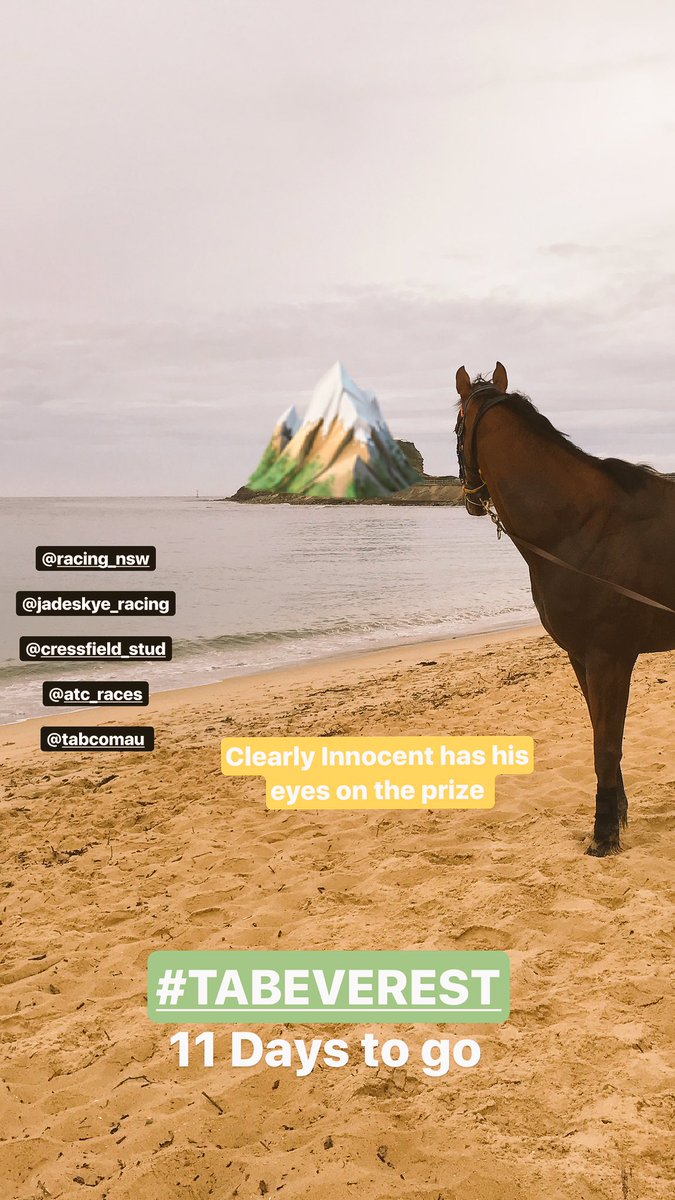 Kim Rieck (@kim_rieck) | Twitter