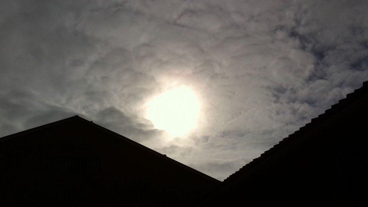 StepanFriend's tweet photo. Day that may change into darkness. 2nd of October, 2017
#StepanFriend #sky #sun #life https://t.co/ozKys26N5H