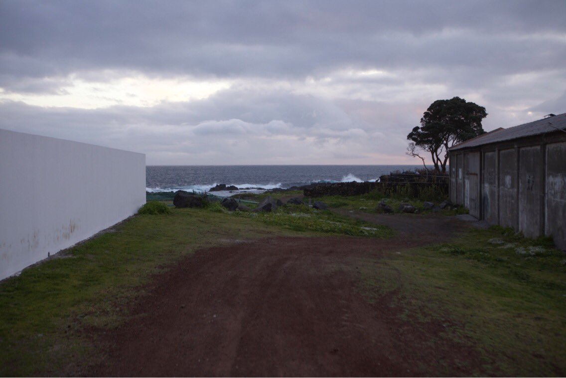 Jen Reimer+Max Stein tweet media