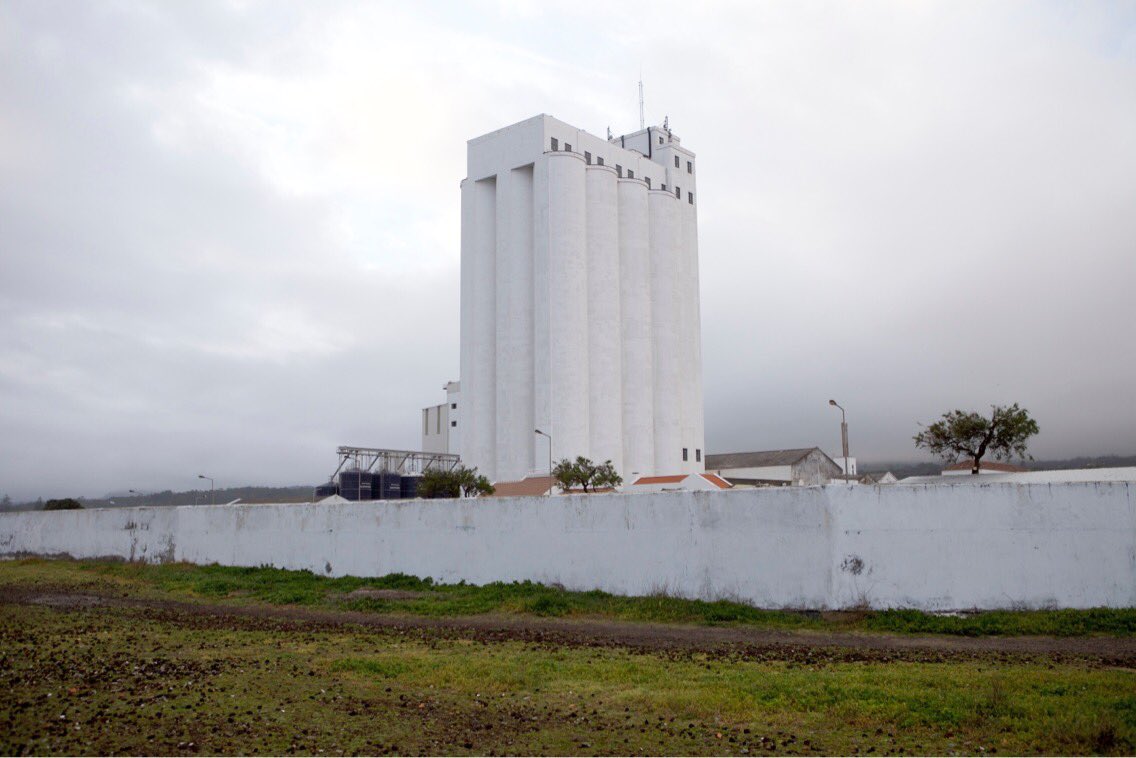 Jen Reimer+Max Stein tweet media