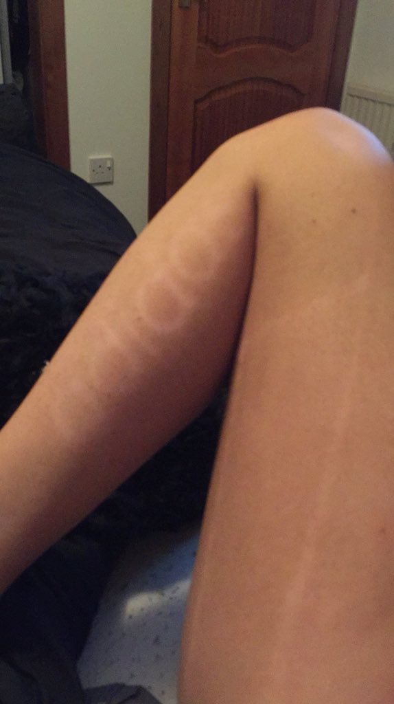 View image on Twitter