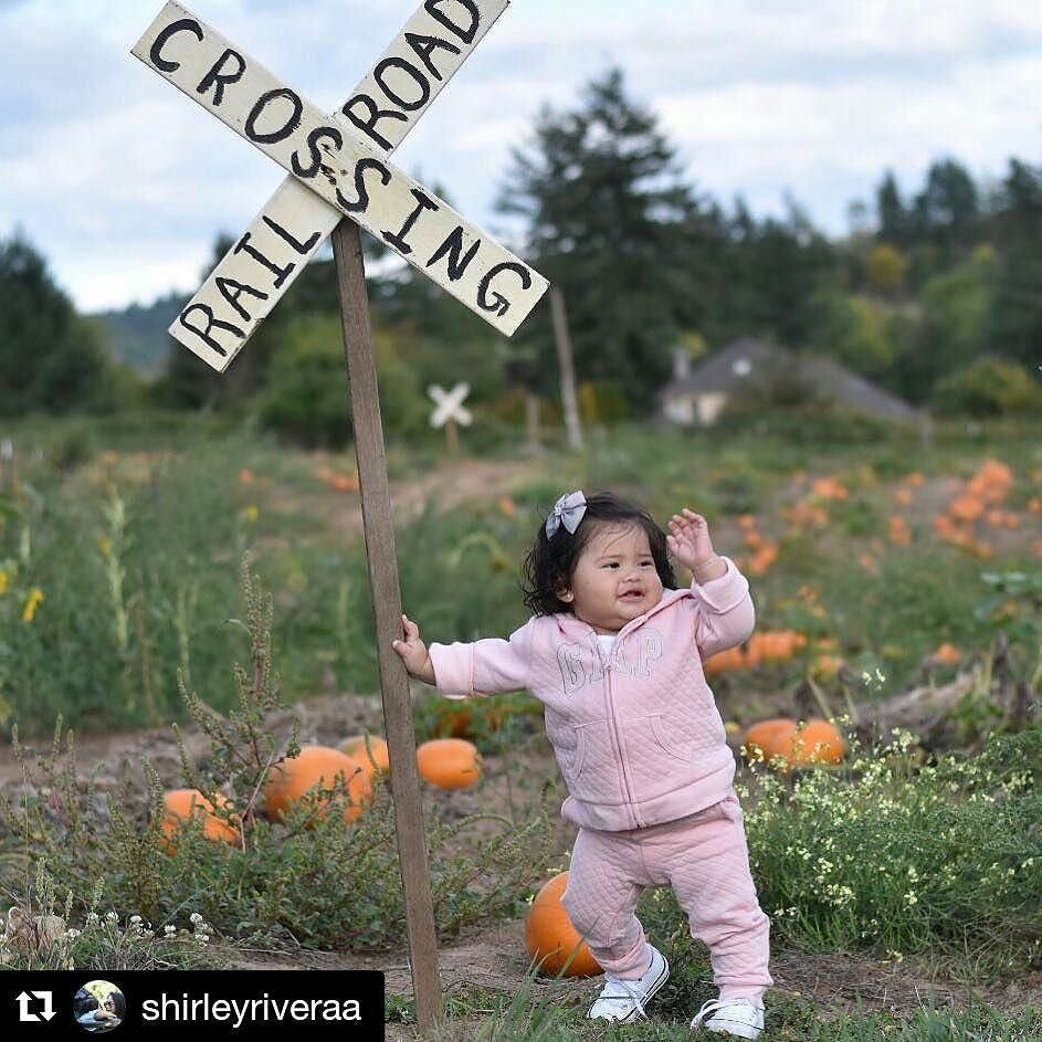 PlumperPumpkins's tweet photo. @shirleyriveraa
Goodbye Summer, Hello Fall 🍂
#plumperpumpkinpatch #fall #pumpkins https://t.co/YWjPuBwLxV